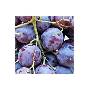 Декор Толедо фрукты виноград (04-01-1-14-00-55-140-5) СК000005621