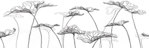 Декор Meissen Вставка Elegance цветы белый 25х75 Артикул: EG2U052DT