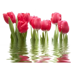 Панно Тюльпаны светлое (06-01-1-64-04-21-160-0) СК000008702
