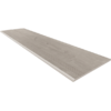 Ступень SF03-30x120x10-Непол. (с насечками)